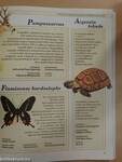 Veszélyeztetett állatok gyermekenciklopédiája