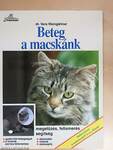 Beteg a macskánk