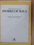 The Lion Book of Stories of Jesus