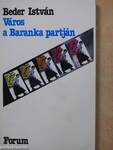 Város a Baranka partján