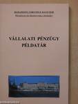 Vállalati pénzügy példatár