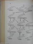 Medizinische Biochemie