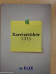 Karriertükör 2013