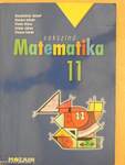 Sokszínű matematika 11.