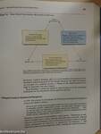 Organizational Behavior