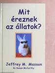 Mit éreznek az állatok?