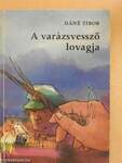 A varázsvessző lovagja