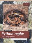 Python regius-Der Königspython