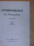 Python regius-Der Königspython