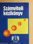 Számviteli kézikönyv 2004