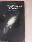 The Promise of Space