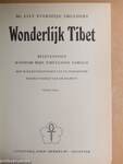 Wonderlijk Tibet