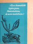 »Én a komédiát lejátsztam, Mulattattam, de nem mulattam.«