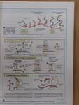 Biologie - Terminale D