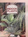 The Easy Guide to Indoor Plants