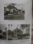 Waikiki Yesteryear