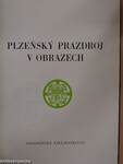 Plzensky prazdroj v obrazech
