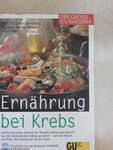 Ernährung bei Krebs