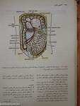 Clinical Anatomy by Regions