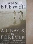 A Crack in Forever