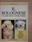 Il Bolognese e il Bichon á Poil Frisé