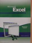 Microsoft Excel 97
