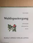 Waldspaziergang