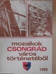Mozaikok Csongrád város történetéből 1986.