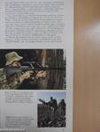 Korszerű hadipuskák és géppisztolyok