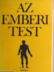 Az emberi test 1. (töredék)