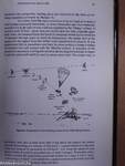 The Realm of the Terrestrial Planets