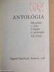 Nagyvilág antológia 1958-1968. 1. (töredék)