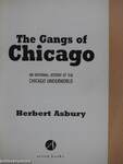 The Gangs of Chicago