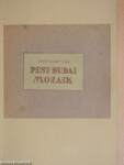 Pest-Budai mozaik