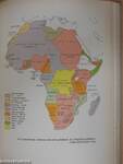 Fekete-Afrika története I-II.