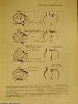 Progress in Cardiology 7