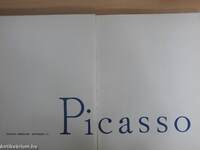 Picasso