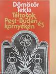 Táltosok Pest-Budán és környékén