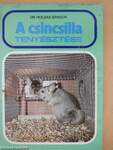 A csincsilla tenyésztése