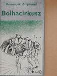 Bolhacirkusz