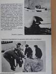 Az Élet és Tudomány Kalendáriuma 1980