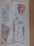 Color Atlas and Textbook of Human Anatomy 3.