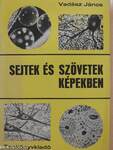 Sejtek és szövetek képekben