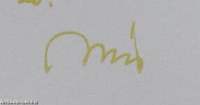 Gyönyörűséges fényeim (dedikált példány)