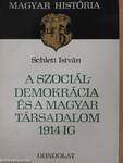 A szociáldemokrácia és a magyar társadalom 1914-ig