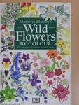 Marjorie Blamey's Wild Flowers by Colour