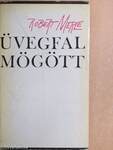 Üvegfal mögött