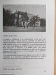 A makói gimnázium 100 éve