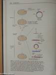 Introduction to Molecular Medicine