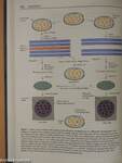 Introduction to Molecular Medicine